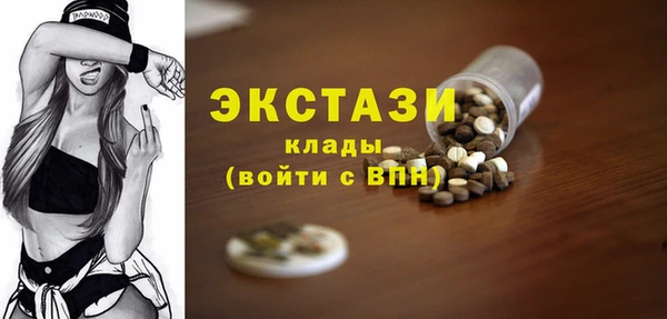 стаф Алзамай