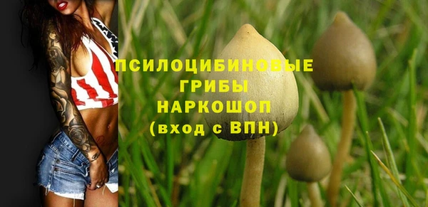 героин Абаза