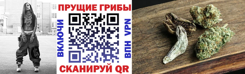 Псилоцибиновые грибы мицелий купить закладку Осташков